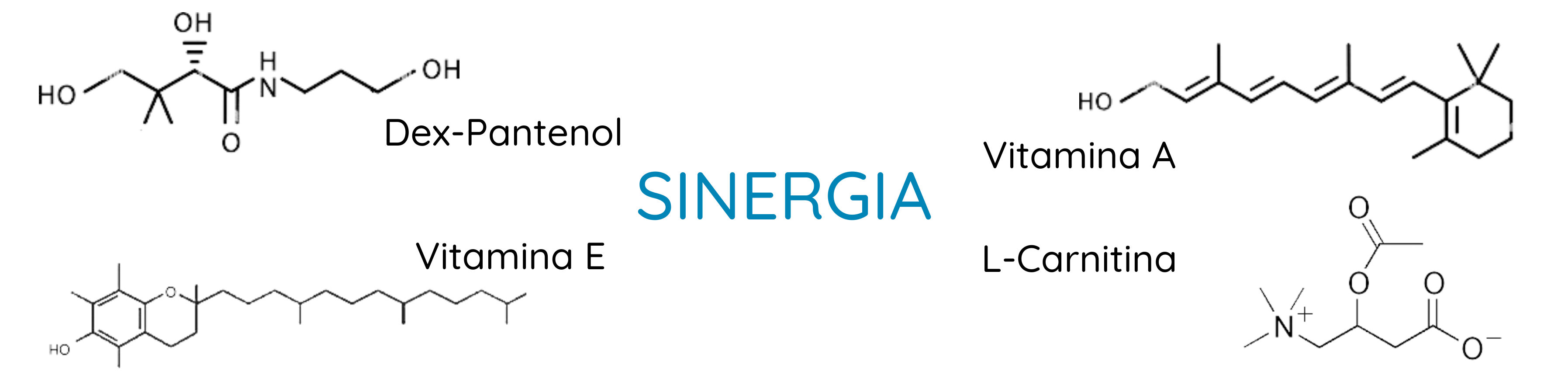 imagen de las moléculas: dex-pantenol, retinol, tocoferol y L-carnitina, 4 moléculas que actúan sinergicamente para regenerar la piel